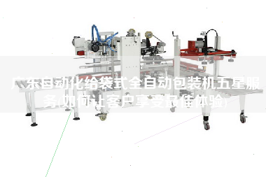 廣東自動化給袋式全自動包裝機五星服務(wù)(如何讓客戶享受z佳體驗)