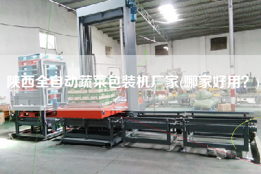 陜西全自動(dòng)蔬菜包裝機(jī)廠家(哪家好用？)